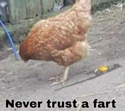 fart.jpg