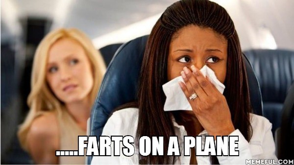 farts on a plane.jpg