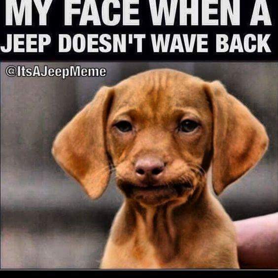 FB_IMG_1454199482181.jpg