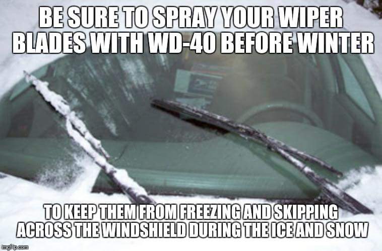 FB_IMG_1455587163957.jpg