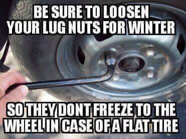 FB_IMG_1455587201546.jpg