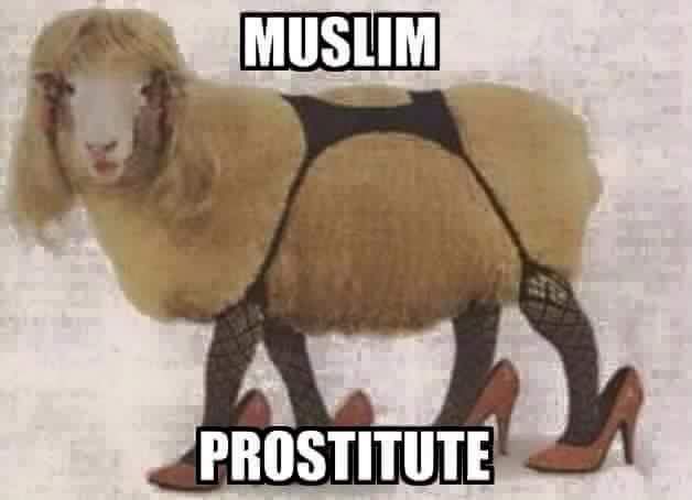 FB_IMG_1456013995039.jpg