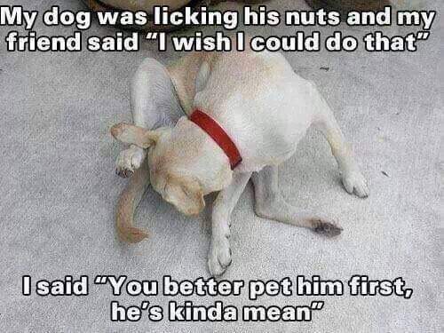 FB_IMG_1484960629829.jpg