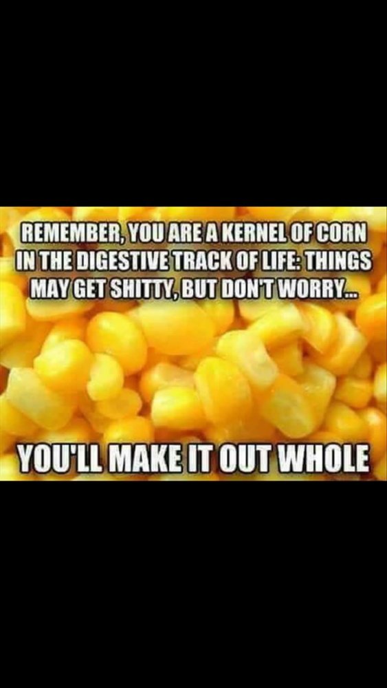 FB_IMG_1517106620501.jpg