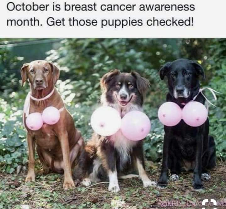 FB_IMG_1538524093082.jpg