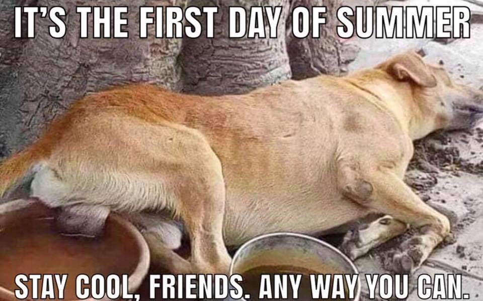 FB_IMG_1561150019632.jpg