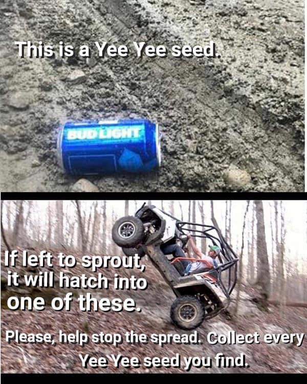 FB_IMG_1561776341348.jpg