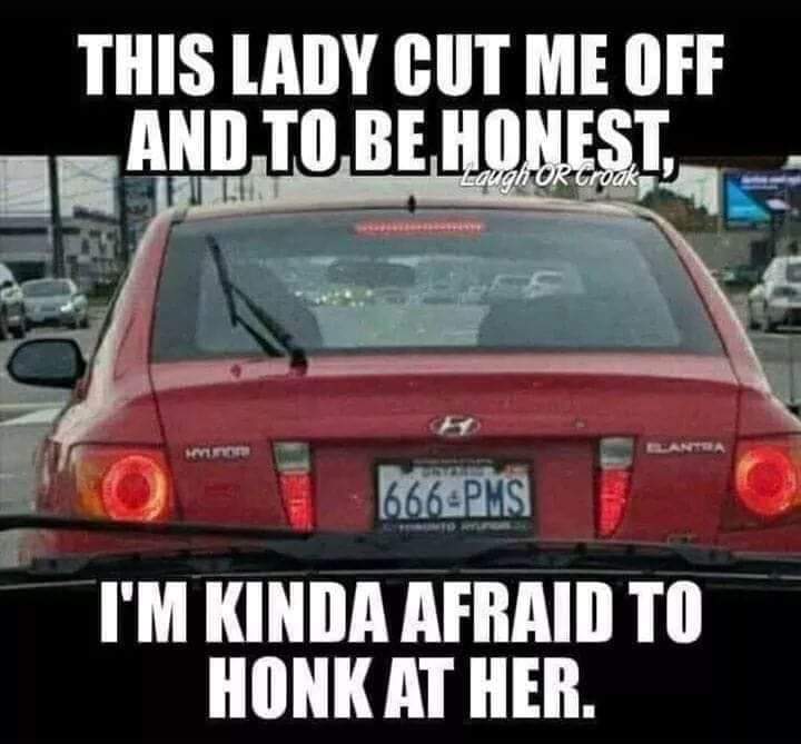 FB_IMG_1562608937168.jpg