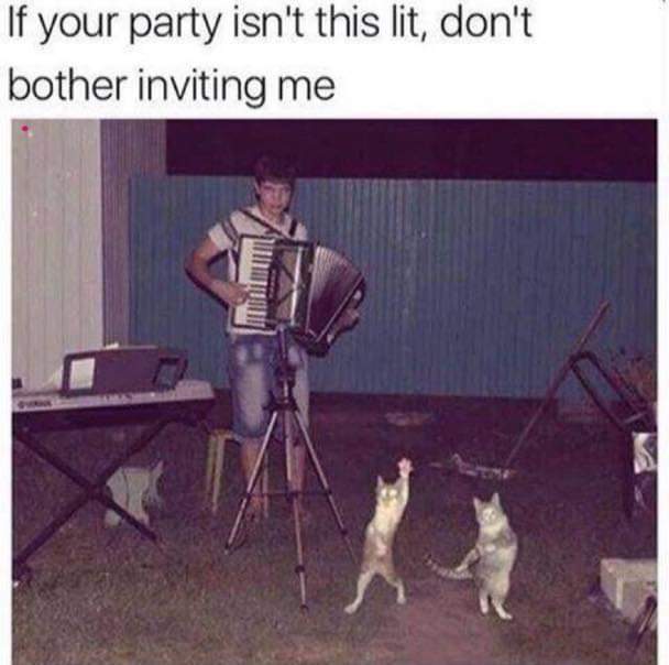 FB_IMG_1566690262016.jpg