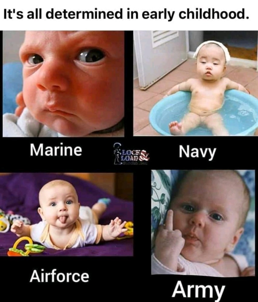 FB_IMG_15829866835699025.jpg