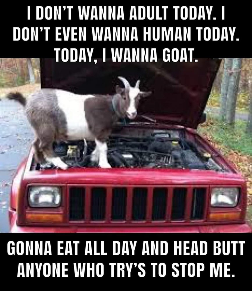 FB_IMG_1592963294955.jpg