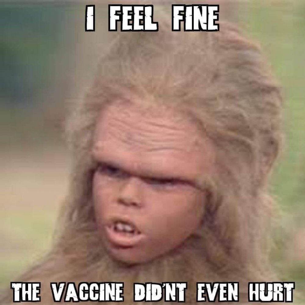 FB_IMG_1606512557947.jpg