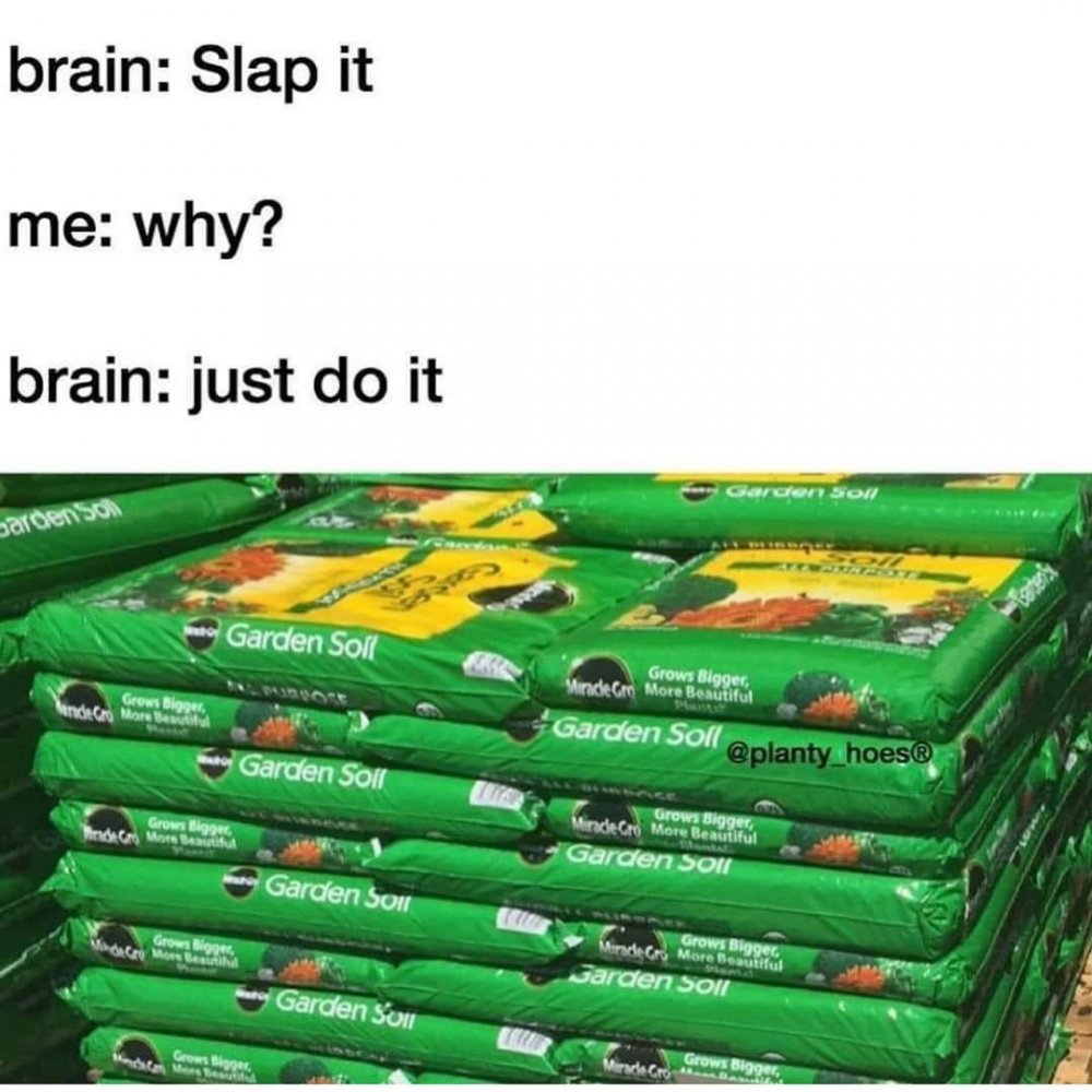 FB_IMG_1607645484327.jpg