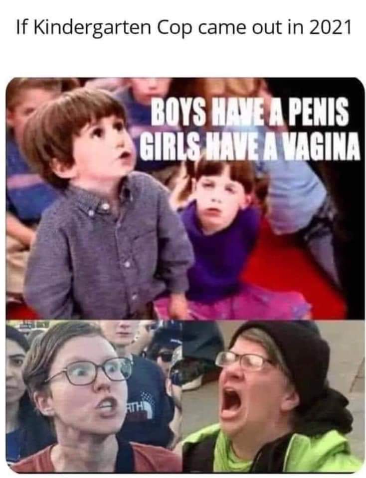 FB_IMG_1617061172007.jpg