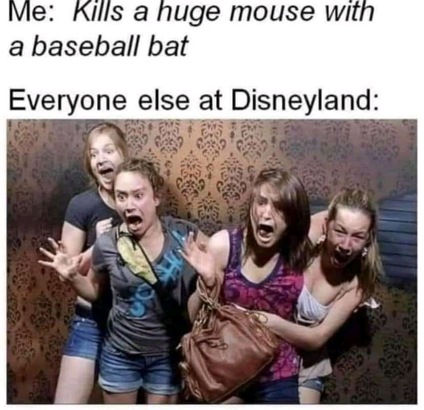 FB_IMG_16224176394548461.jpg
