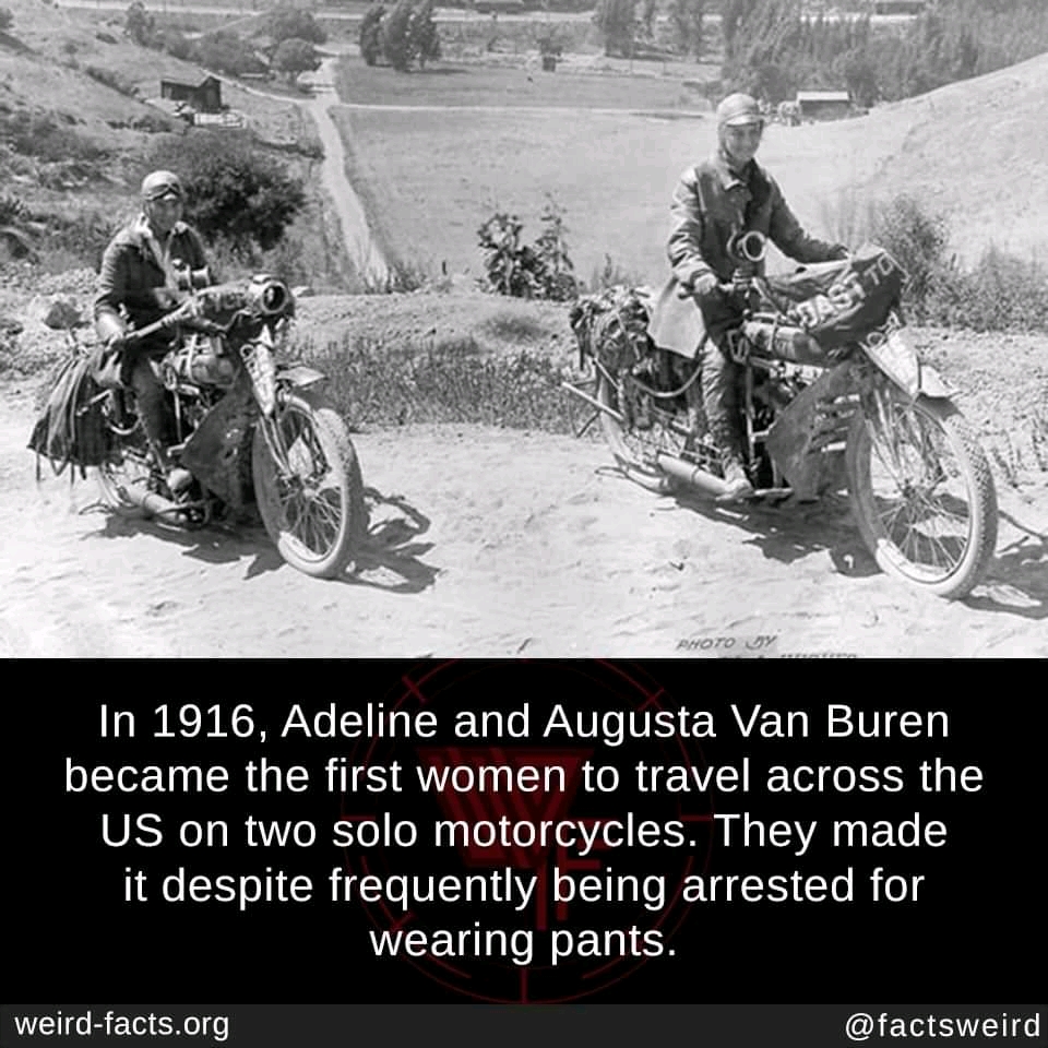 FB_IMG_16246694605335746.jpg