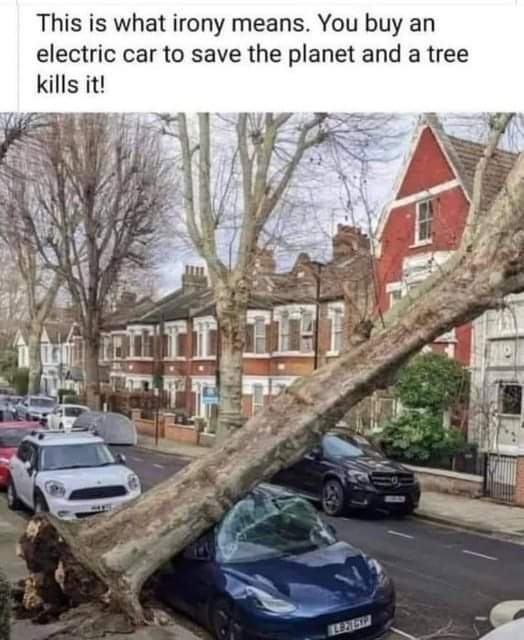 FB_IMG_1646771637957.jpg