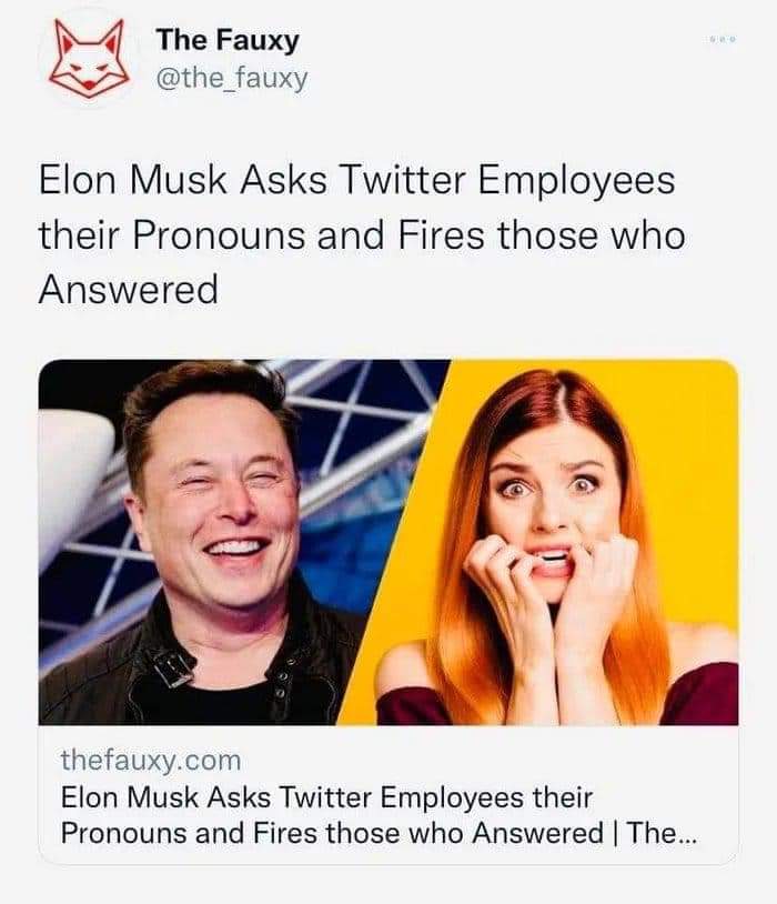FB_IMG_1651055897861.jpg