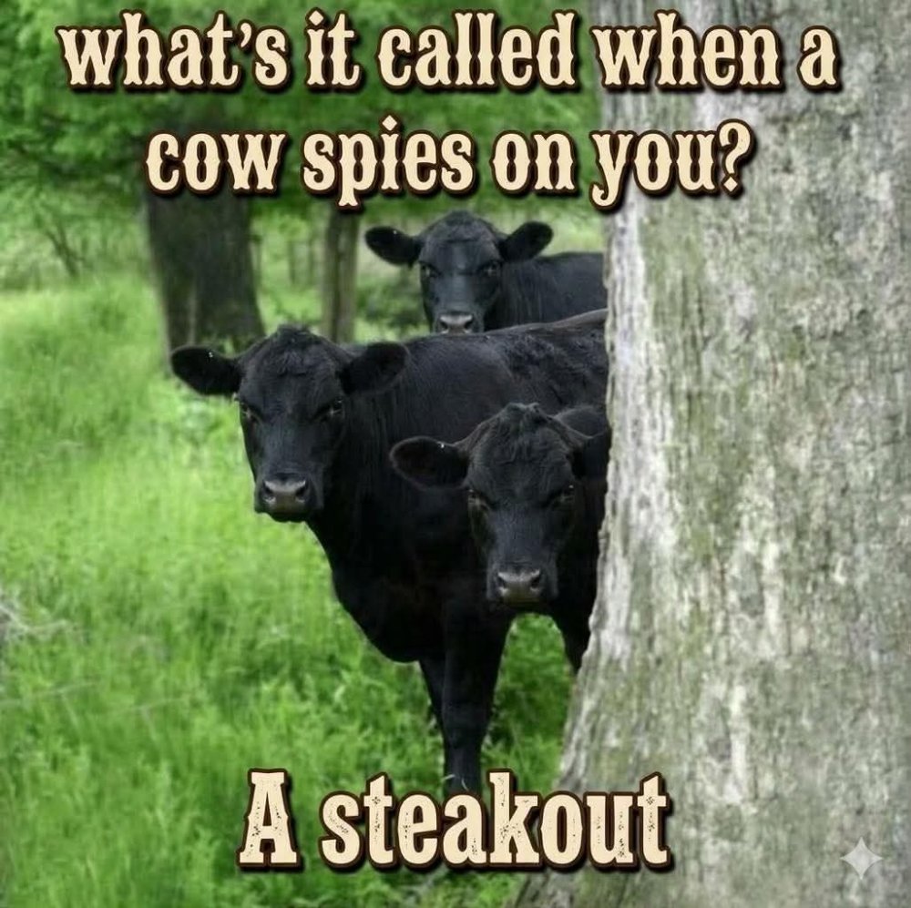 FB_IMG_1777848933998.jpg