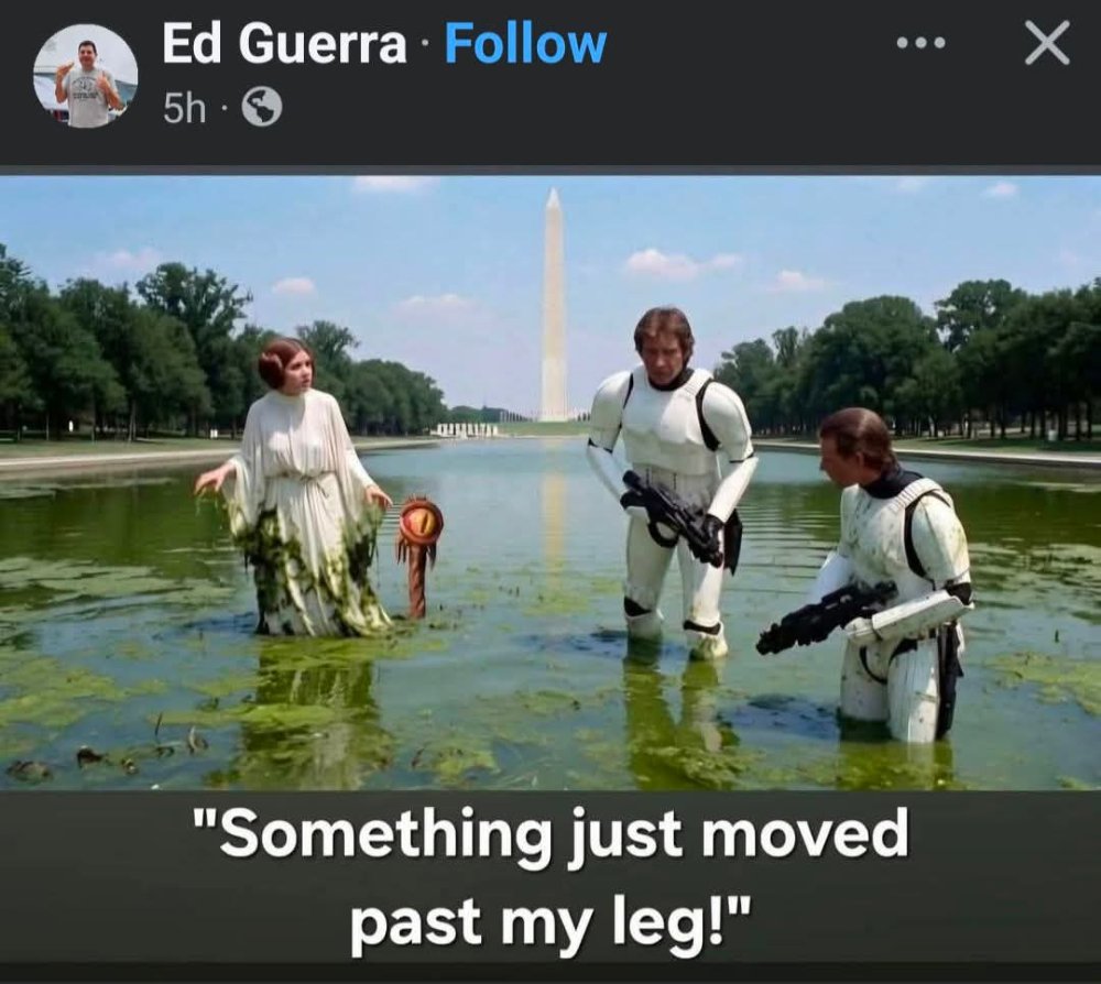 FB_IMG_1782336563430.jpg