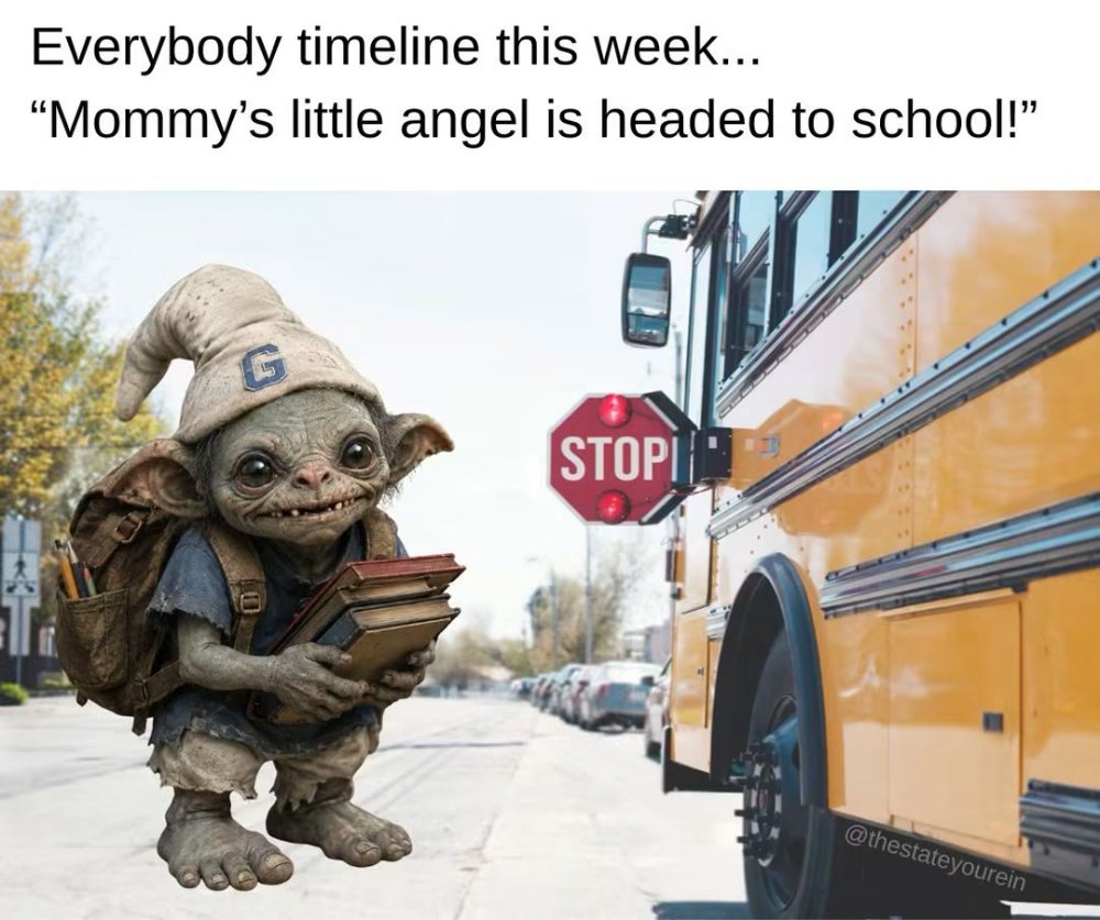 FB_IMG_1787573519833.jpg