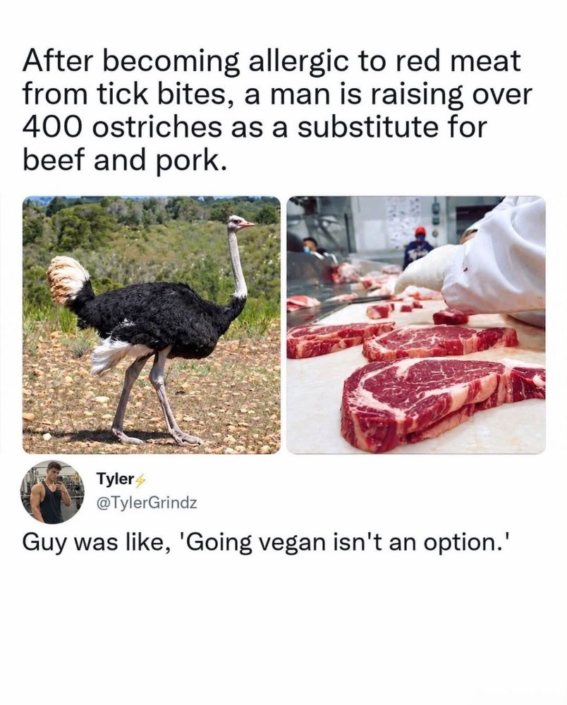 FB_IMG_1791331966334.jpg