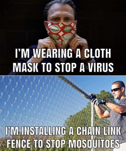 fence.jpg