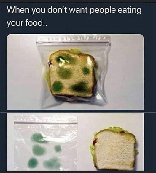 FF4FBB48-9B7E-4D6E-8AE3-C3FA56D3C195.jpeg