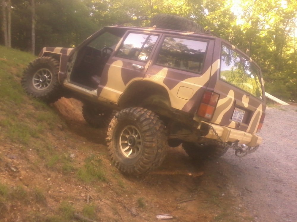 flex in the yard.jpg