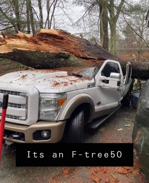 ford.png