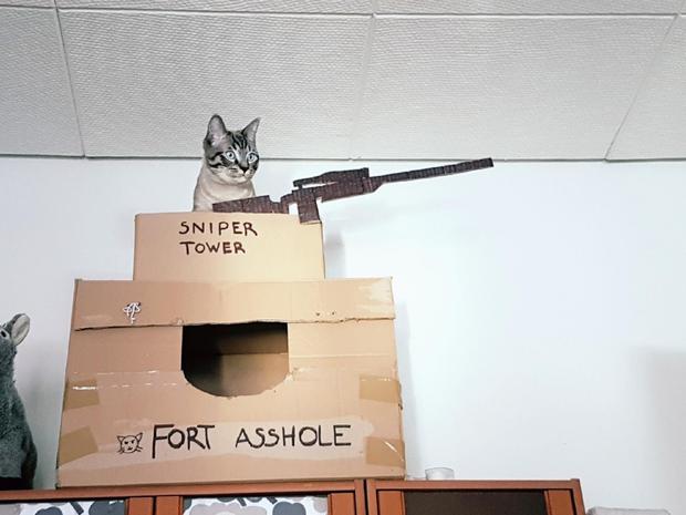 fort.jpeg