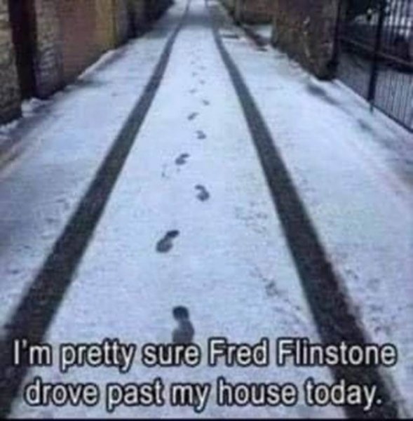 fred.jpeg