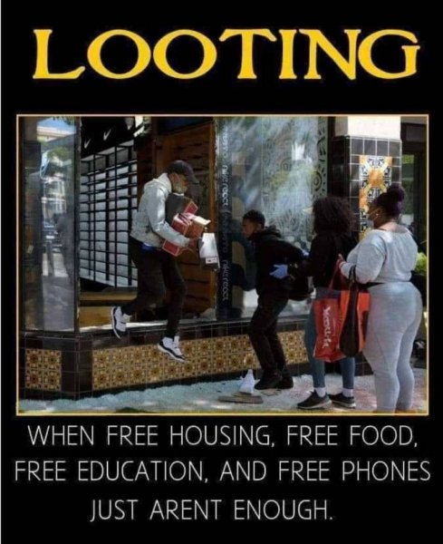 free.jpg