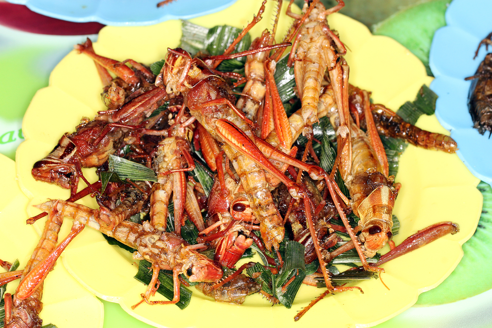 Fried-Grasshoppers (1).jpg