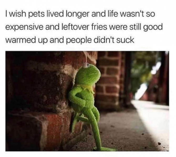 frog.png
