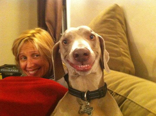 funny-dog-happy-face.jpg