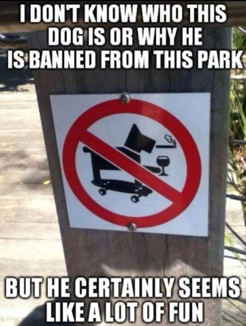 funny-memes-dog-park.jpg