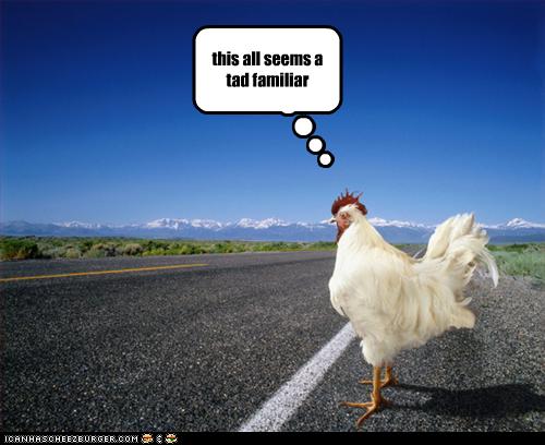 funny-pictures-chicken-crosses-road.jpeg