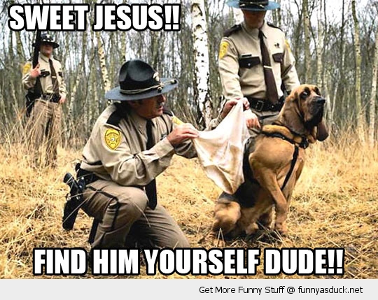 funny-police-dog-sniff-pants-under-wear-find-him-yourself-pics.jpg