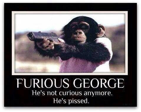 furious george.jpg