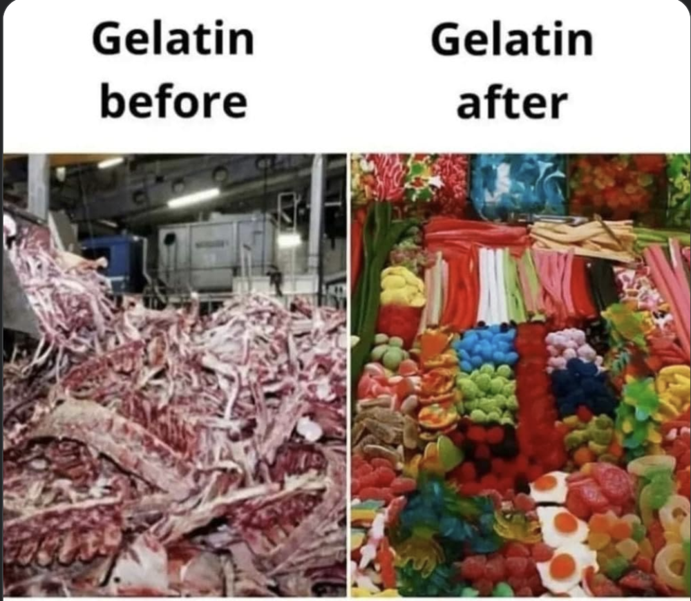gelatin.png