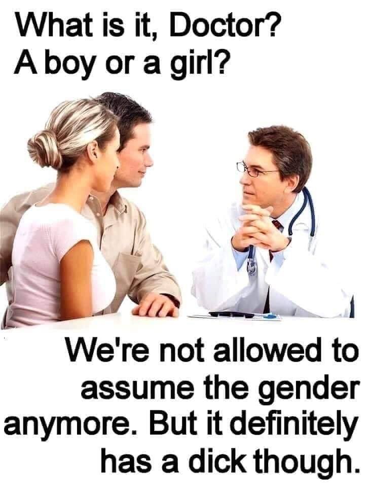 gender.jpg