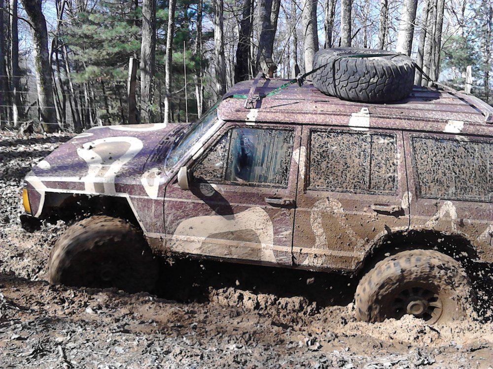 glades action shot.jpg