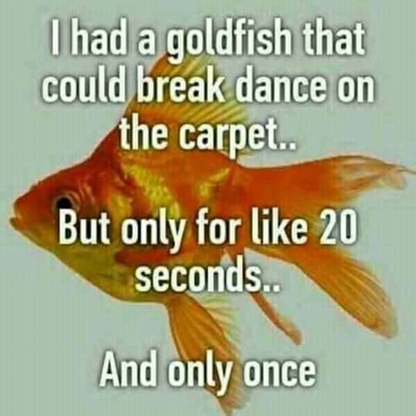 goldfish.jpg