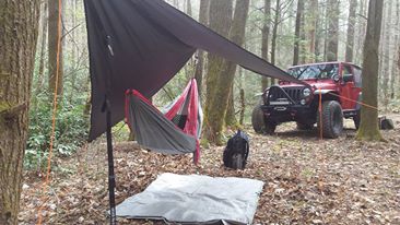 hammock.jpg