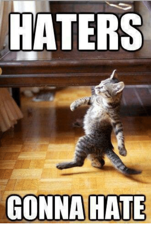 haters-gonna-hate-7876932.png