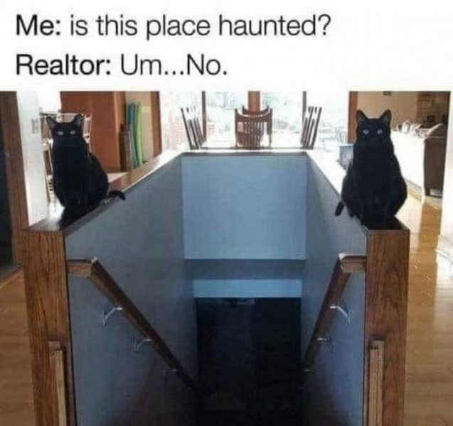 haunted.jpg