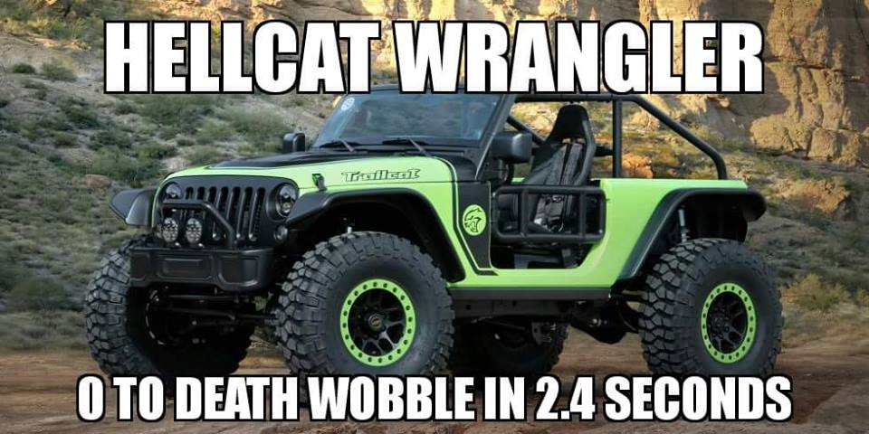 heelcatwrangler.jpg