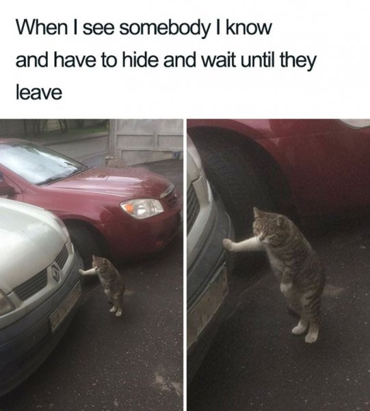 hide.jpeg