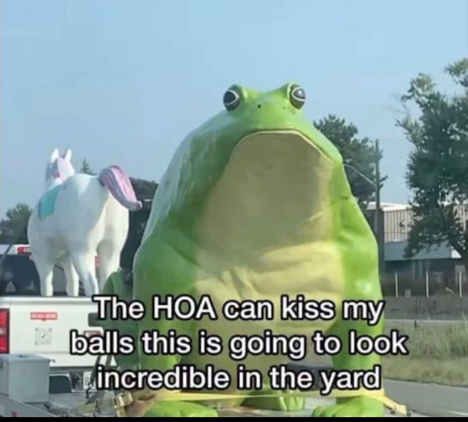 hoa.jpeg